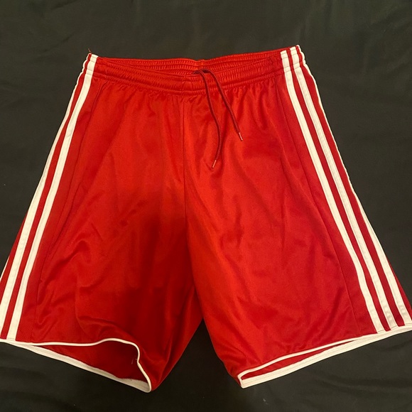 Adidas Red Superstar Short - Picture 3 of 7